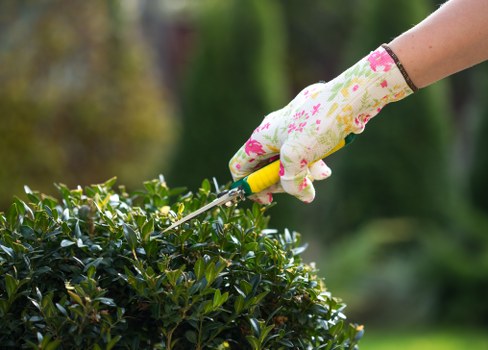 Gardener carrying out safe garden maintenance procedures