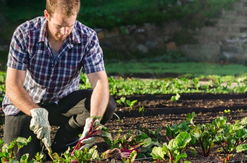 Customer complaint review for gardening services