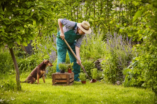 Professional garden maintenance in West Green with healthy planting