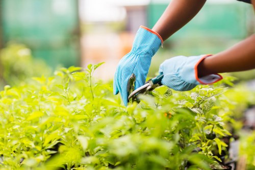 Transparent Gardeners West Green pricing for larger outdoor projects