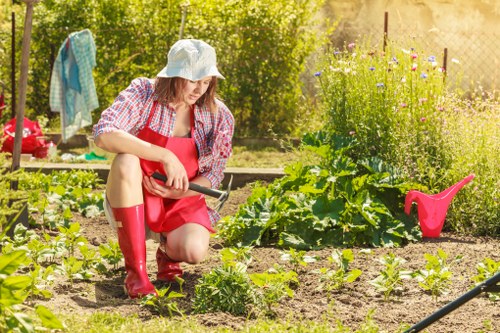 Professional garden maintenance in a West Green landscape