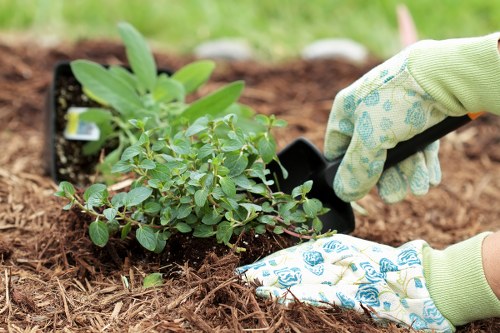 West Green gardening service creating a beautiful garden