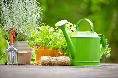Seasonal lawn maintenance in West Green with a thriving garden lawn
