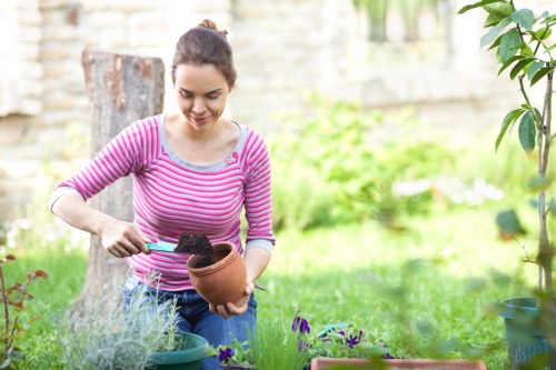 Professional grass cutting service in a West Green garden