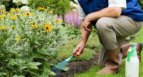 Resolution stage for a gardening complaint