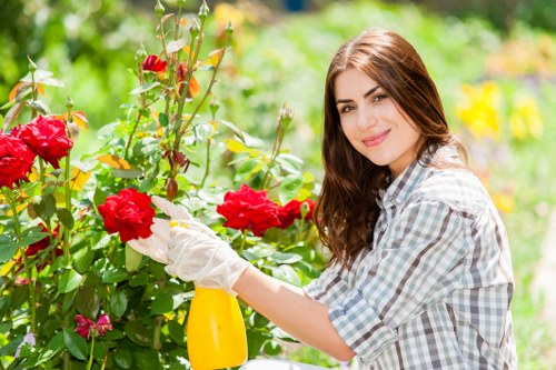 Healthy planting and soil care for garden maintenance in West Green