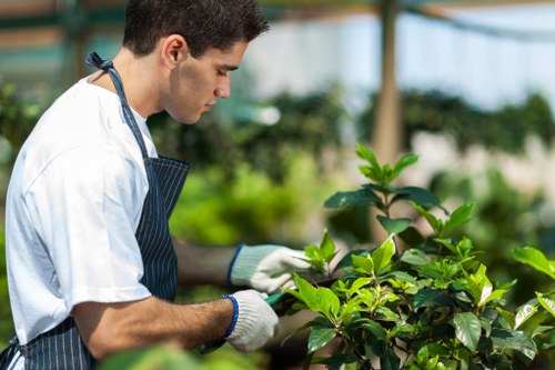 Seasonal garden maintenance in West Green with hedge trimming and planting