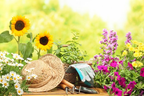 Lawn care as part of garden maintenance in West Green