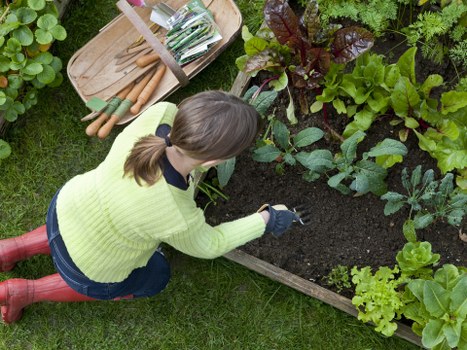 Image illustrating screen-reader friendly gardening service content