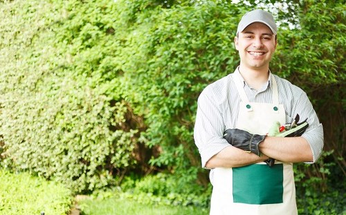 Close-up of a professional gardening agreement and paperwork