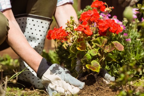Work quality complaint checked during garden service review