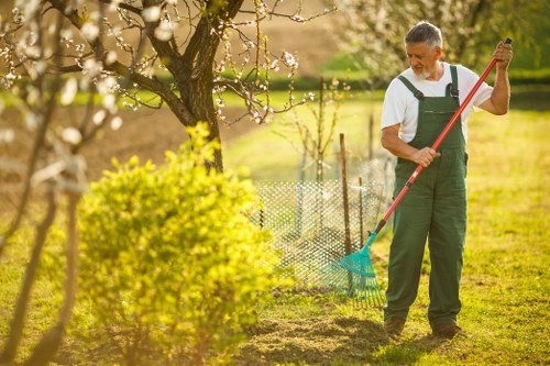 Seasonal lawn maintenance in a West Green outdoor space