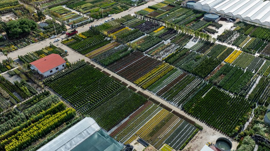 An aerial view of a large nursery garden with numerous neatly arranged rectangular planting beds filled with various shrubs, young trees, and flowering plants, separated by gravel pathways. The layout
