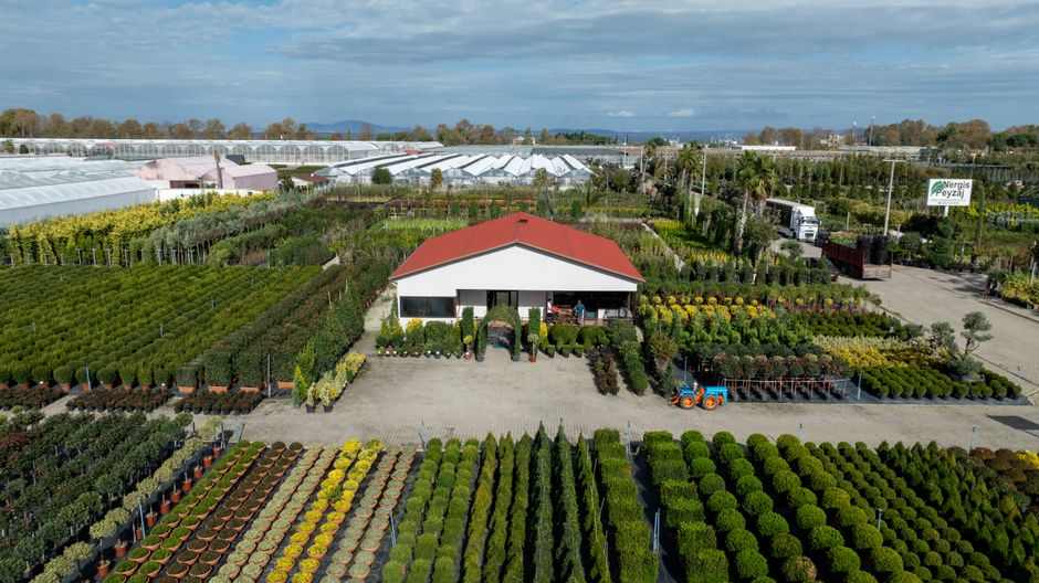 An aerial view of a large nursery garden with numerous neatly arranged rectangular planting beds filled with various shrubs, young trees, and flowering plants, separated by gravel pathways. The layout