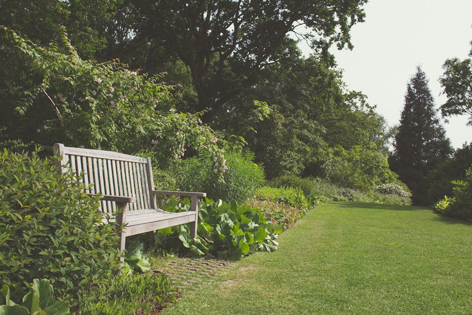 A neatly maintained garden scene showing a wooden bench positioned on a small brick-paved area alongside a lush, green lawn. The garden features a variety of plants and shrubs, including low-growing l